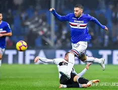 欧博abg登录入口-奥运健儿们赛场拼搏精神的启示是什么